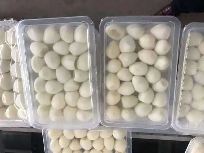 整线解决方案，优化生产流程：鹌鹑蛋包装神器来袭
